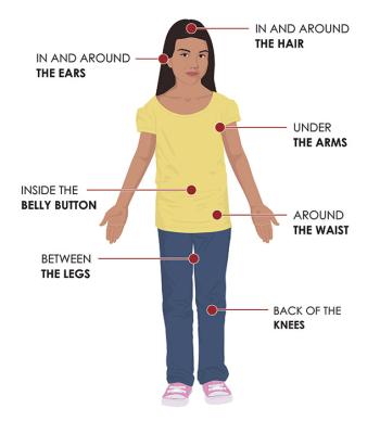tick check spots image