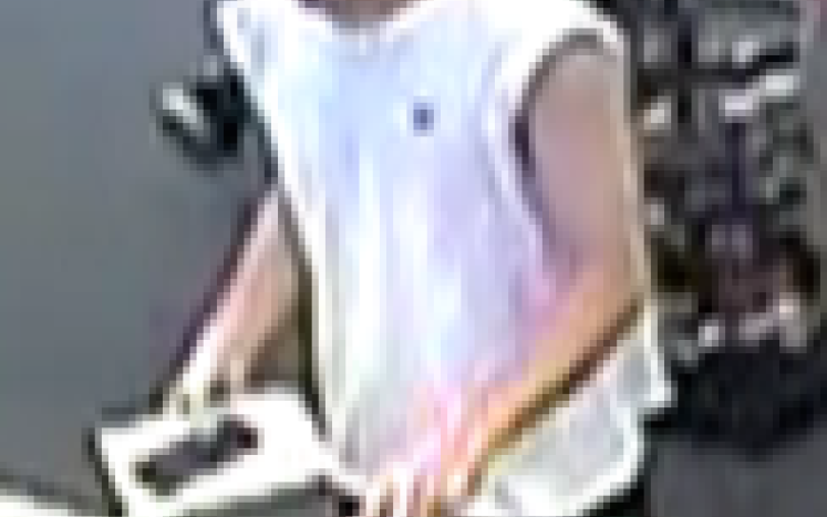 larceny susp