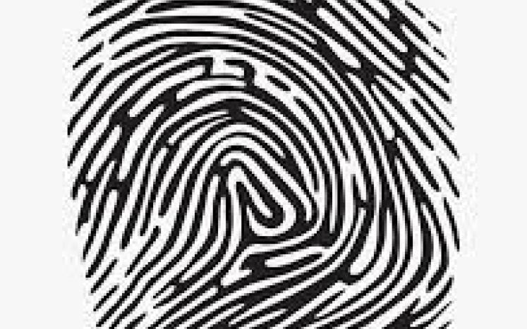 fingerprint